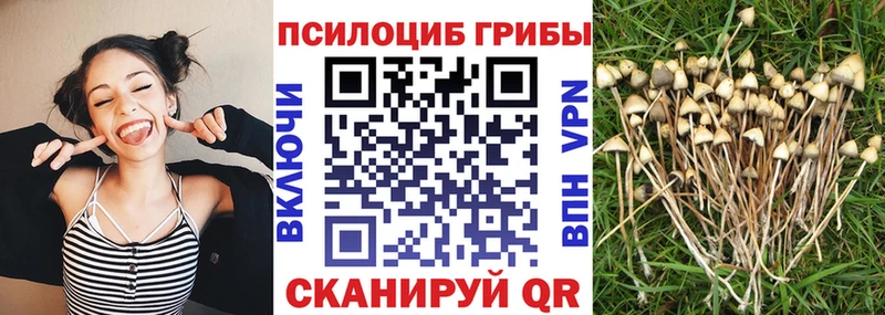 Галлюциногенные грибы Cubensis  Сорск 